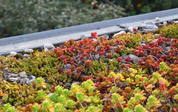 the cost of Low Town green roof installation