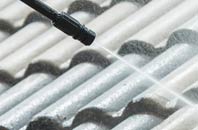 rated Low Town roof cleaning companies